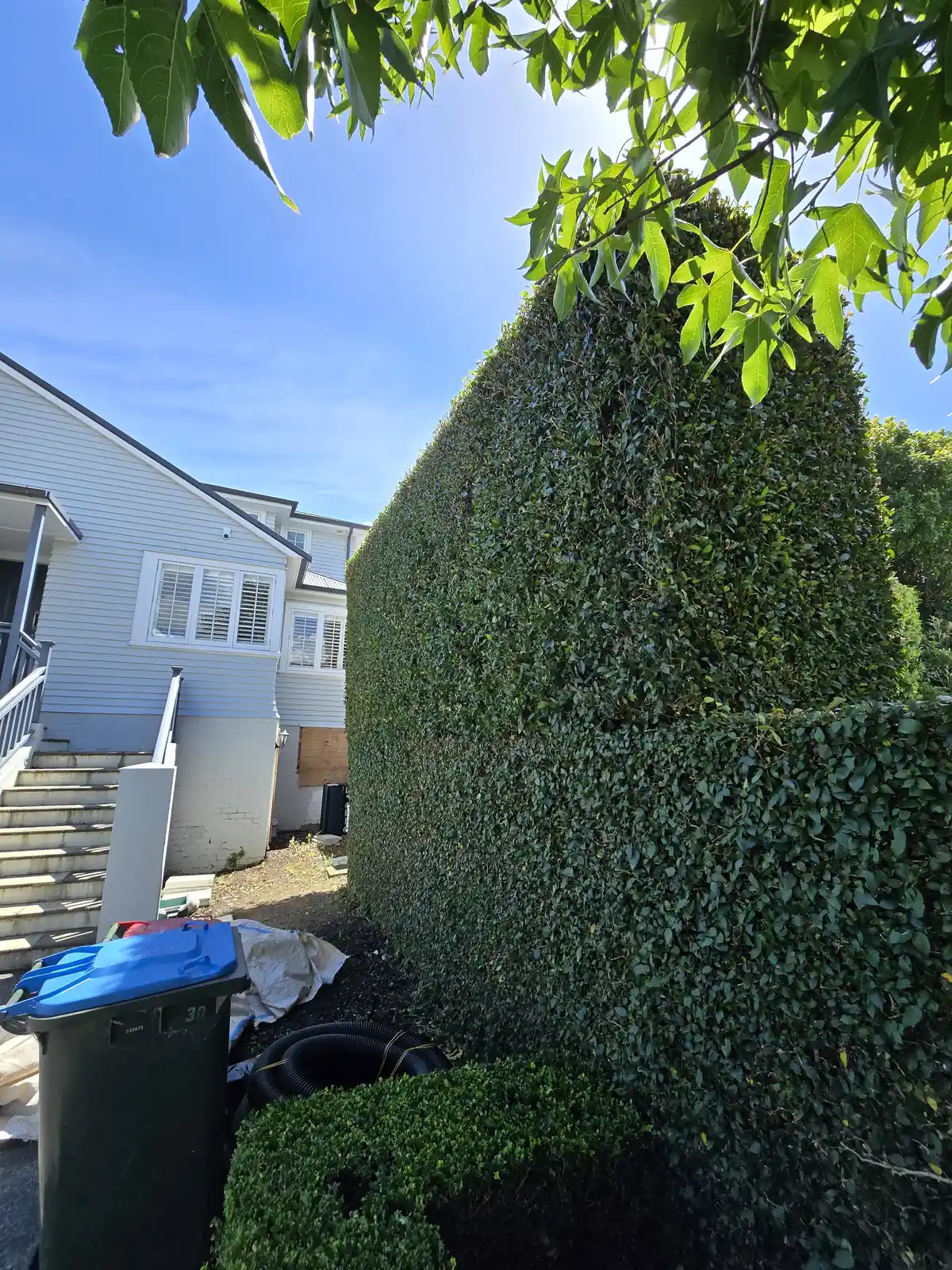 Garden clean-up completed, South Auckland
