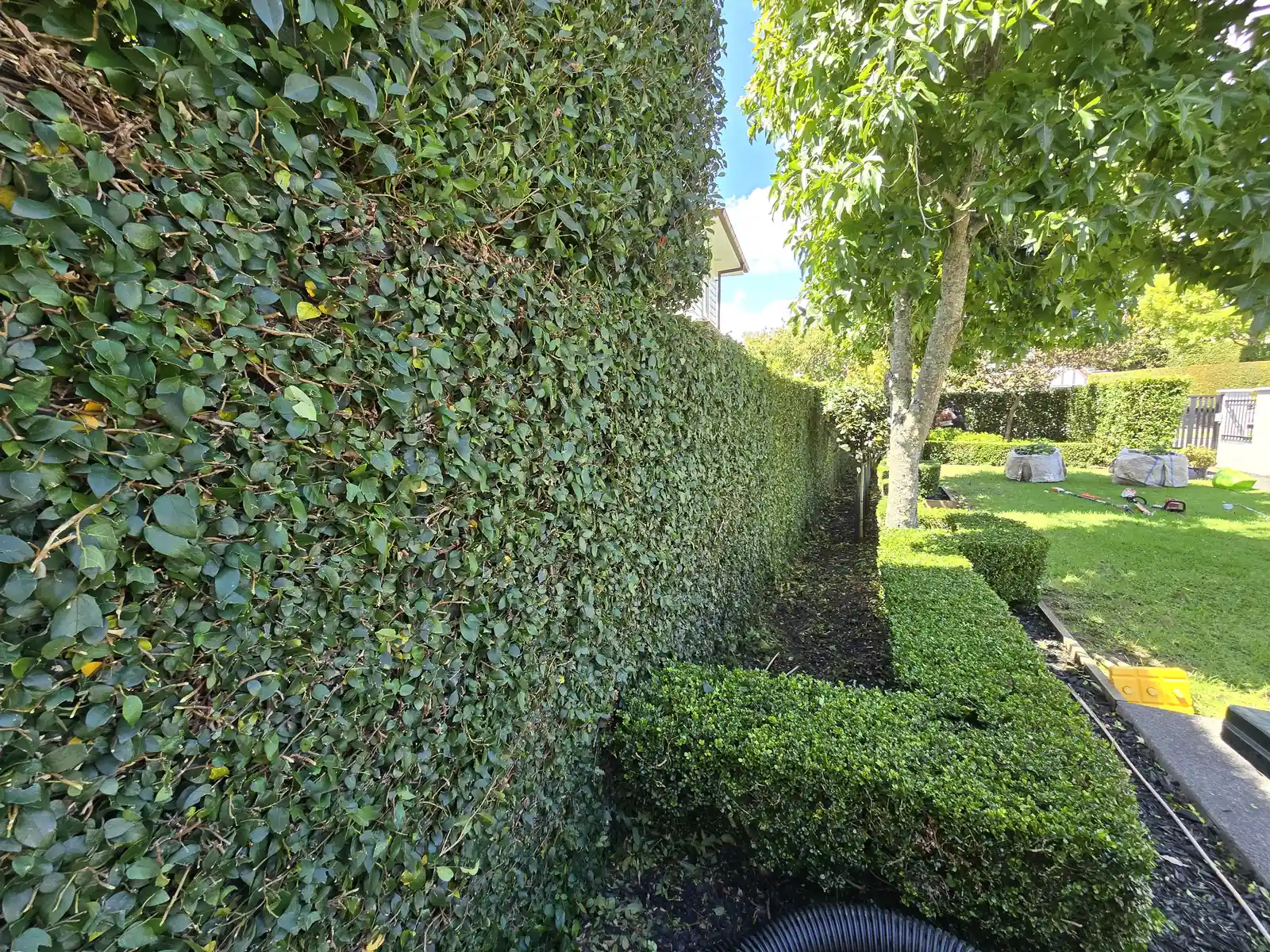 Garden clean-up completed, South Auckland