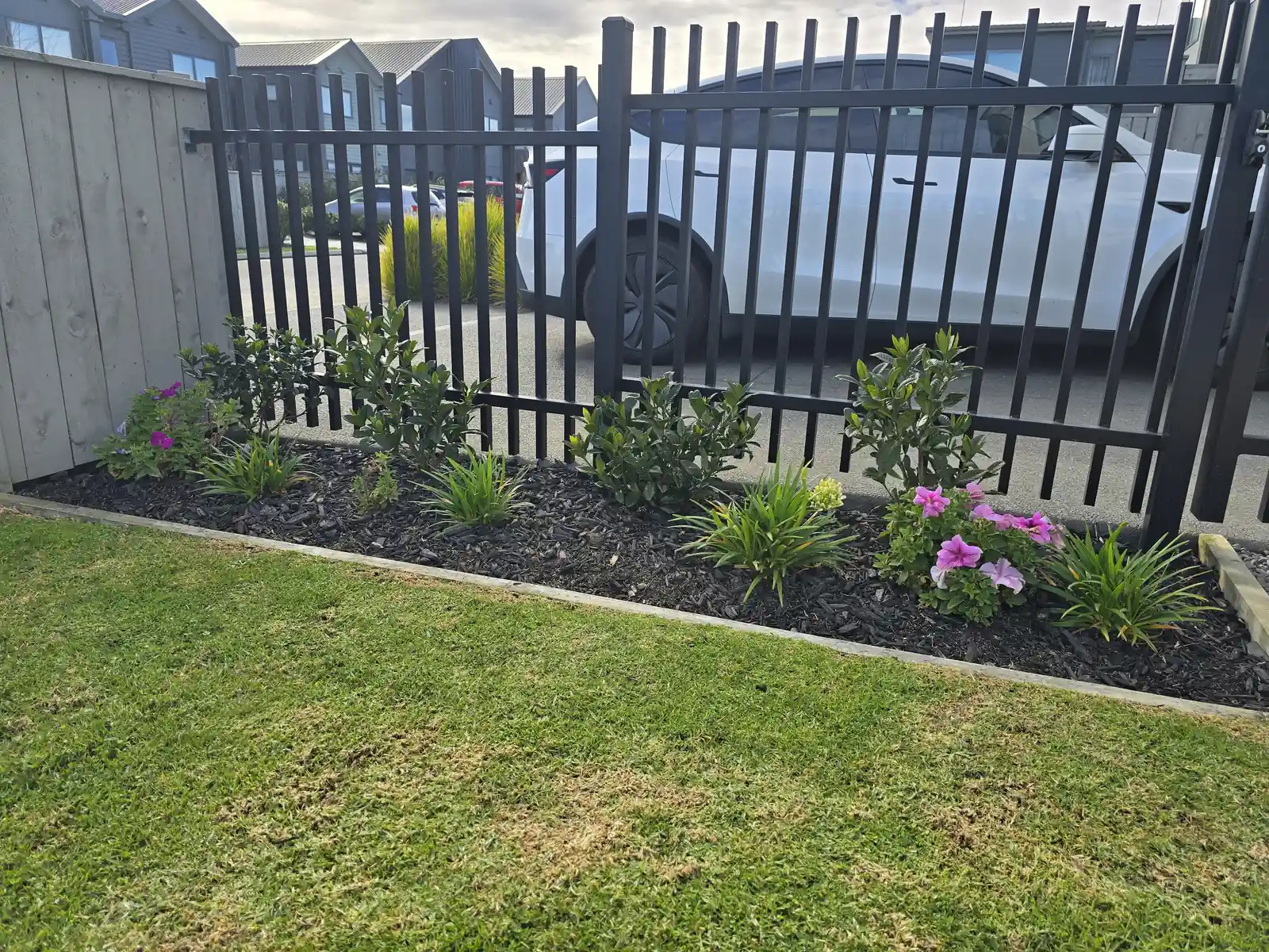 Scheduled garden maintenance in progress, South Auckland
