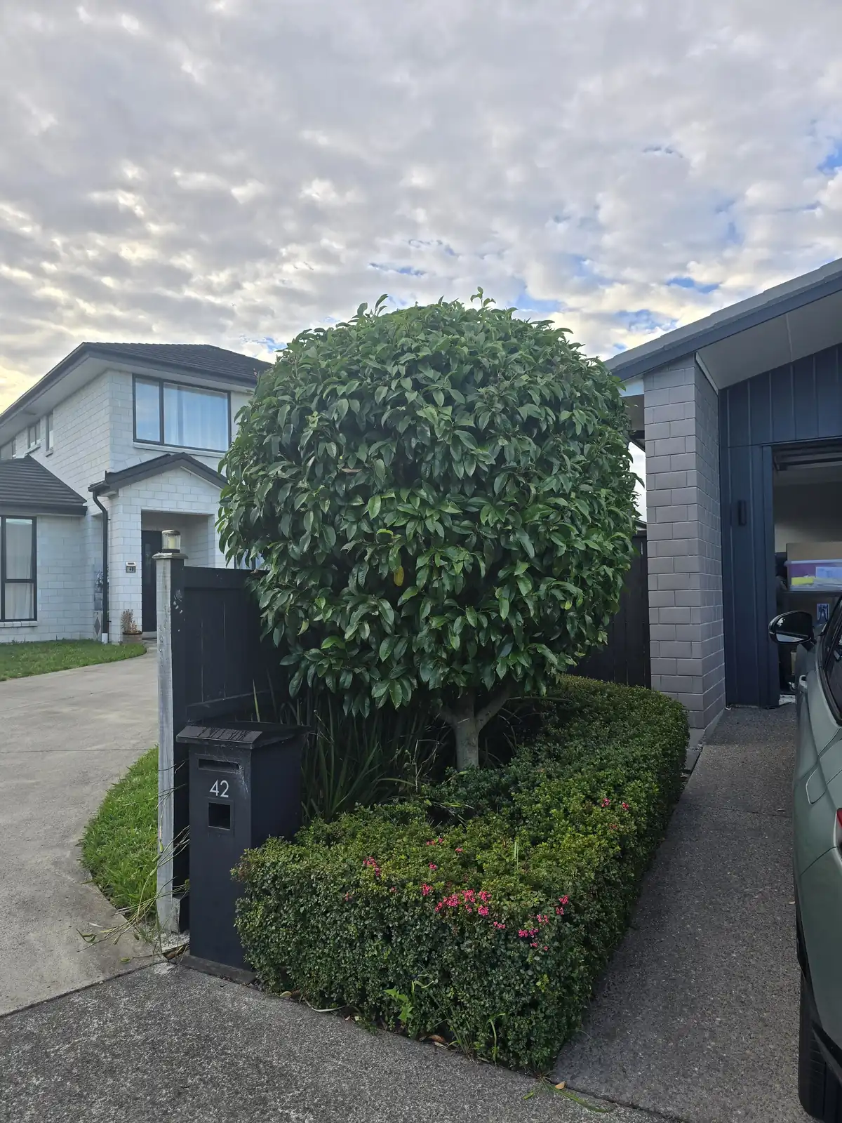 Topiary trimming completed, South Auckland