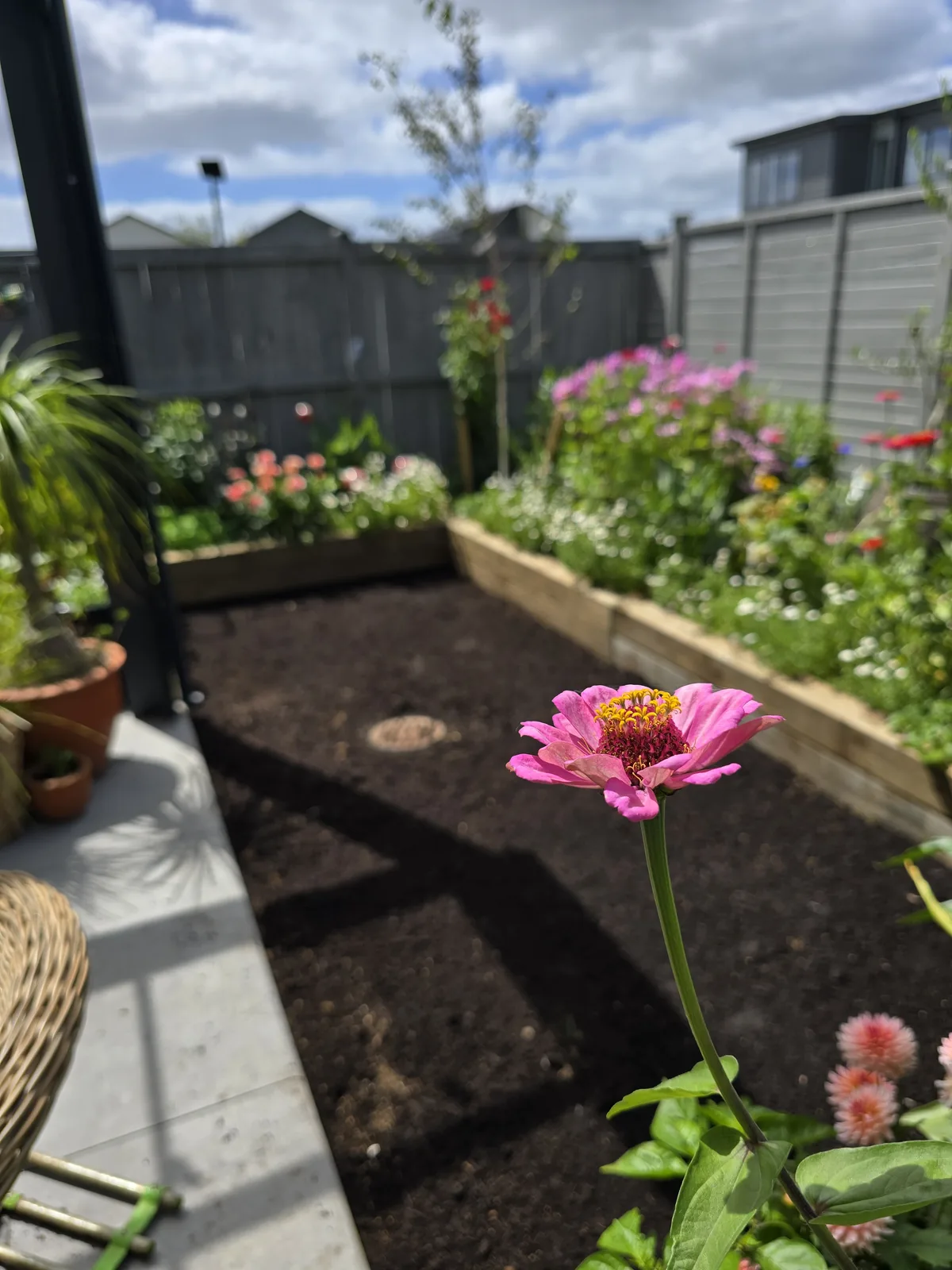 Garden planting and mulching completed, South Auckland