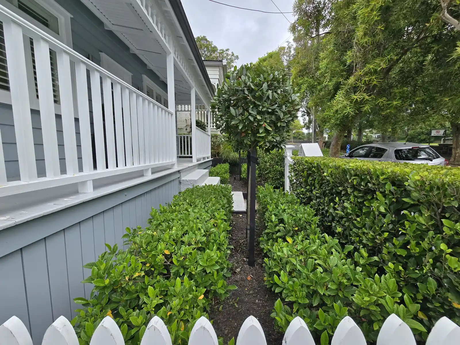 Recent garden care job, South Auckland
