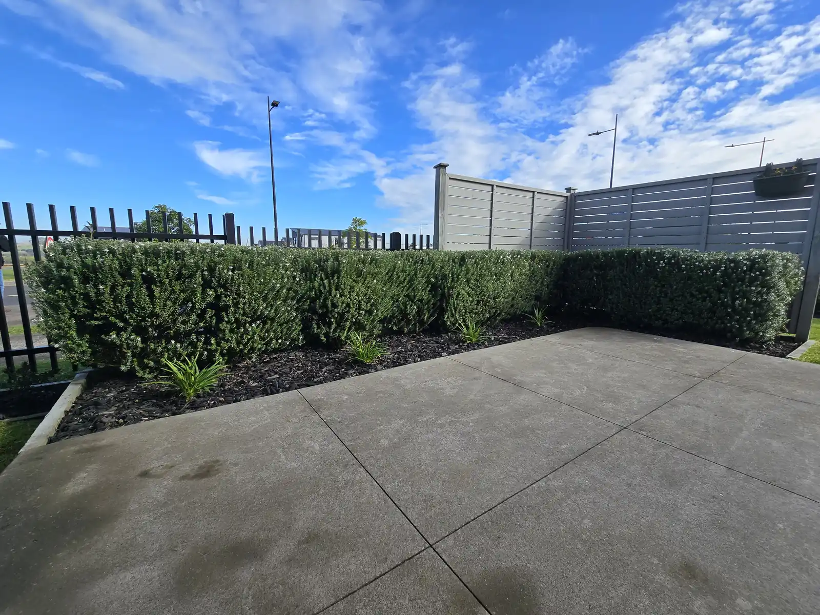 Hedge trimming completed, South Auckland