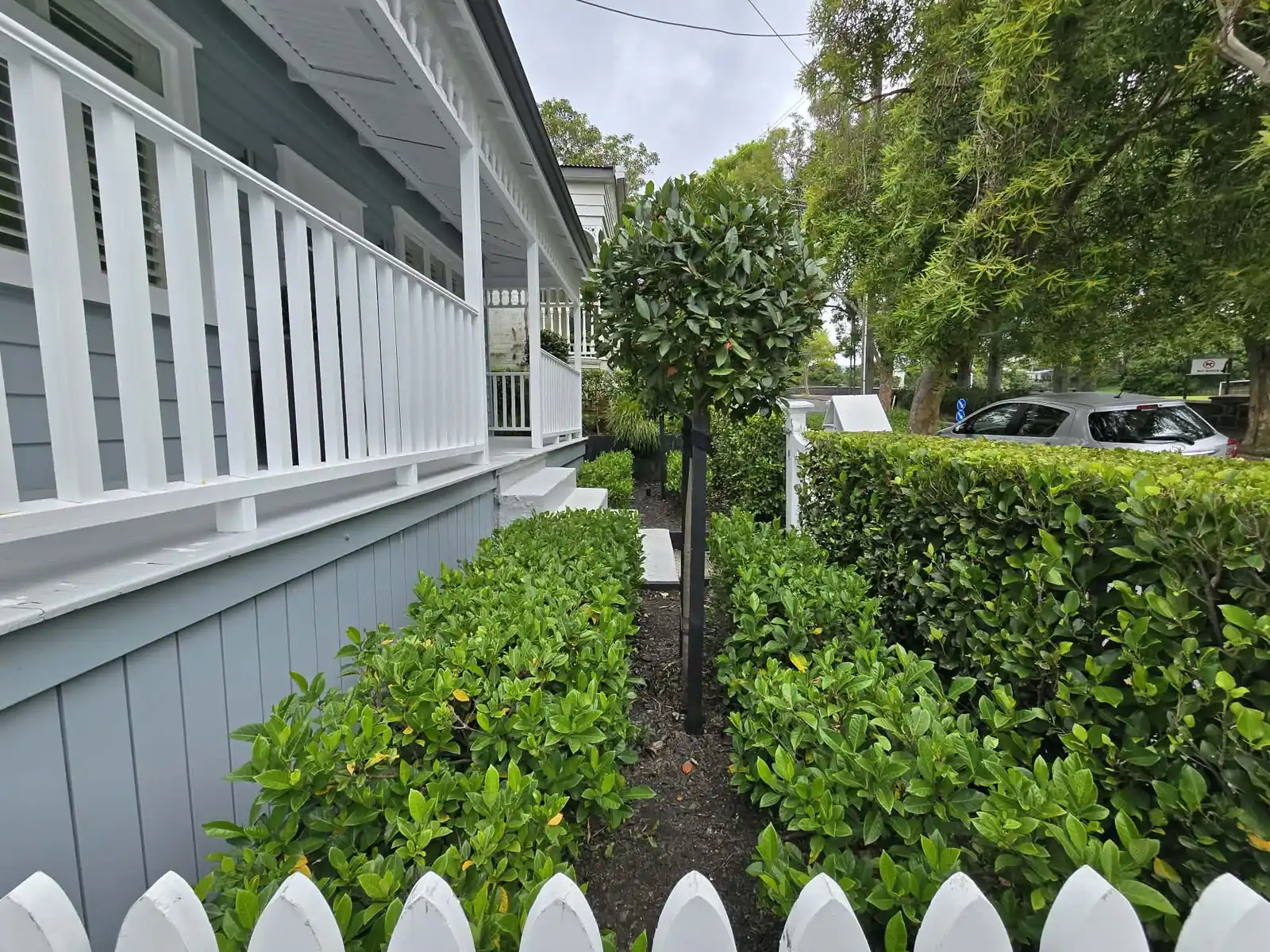 Hedge trimming completed, South Auckland