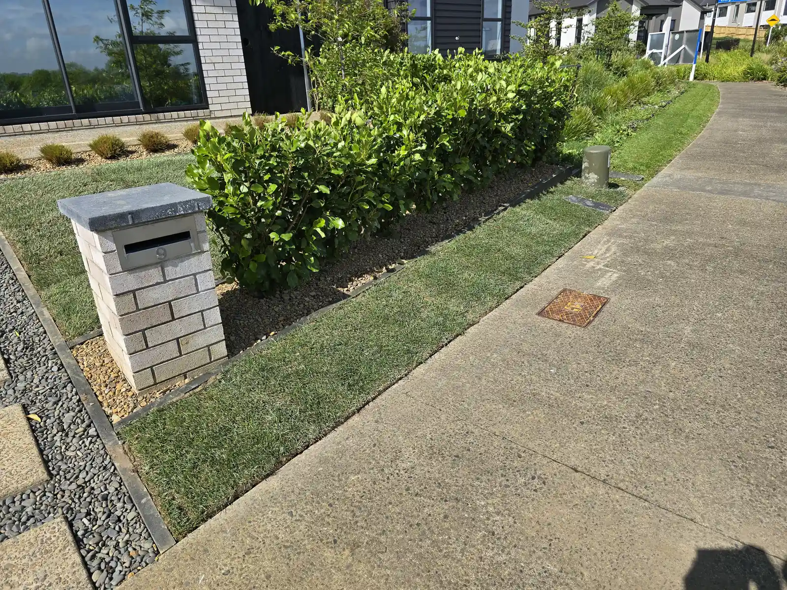Garden in need of maintenance, South Auckland