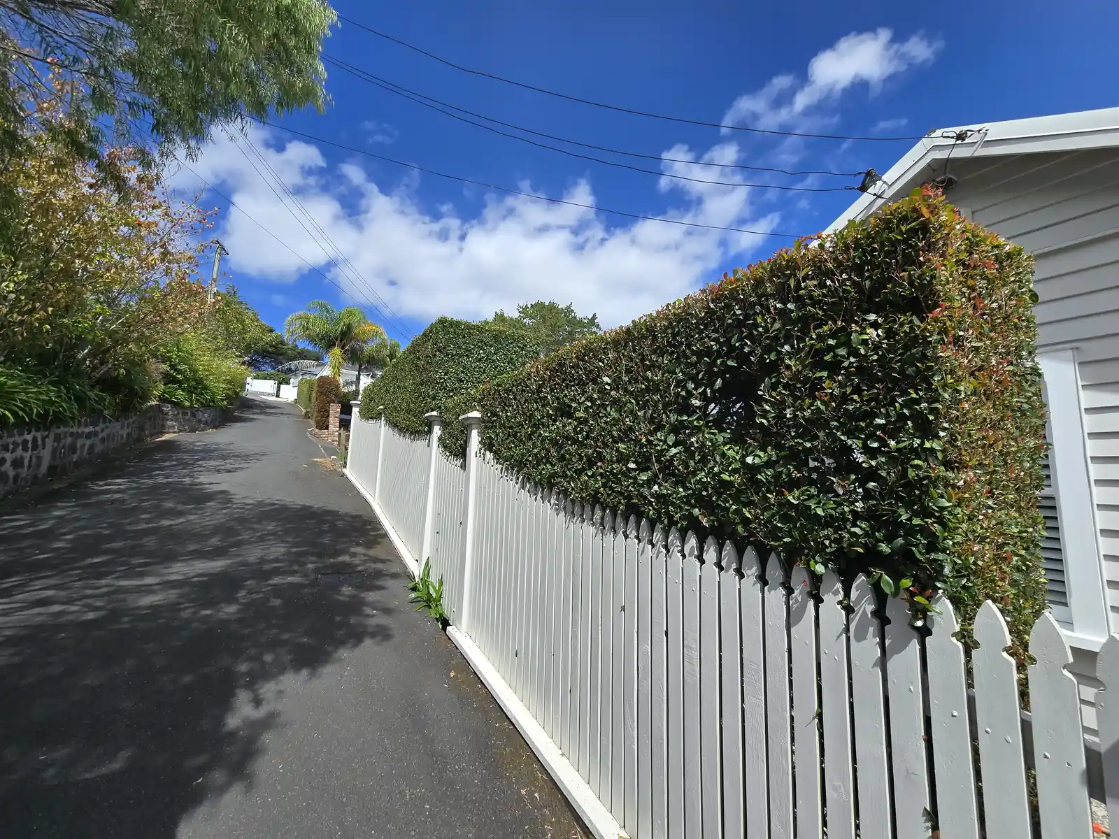 Hedge trimming completed, South Auckland