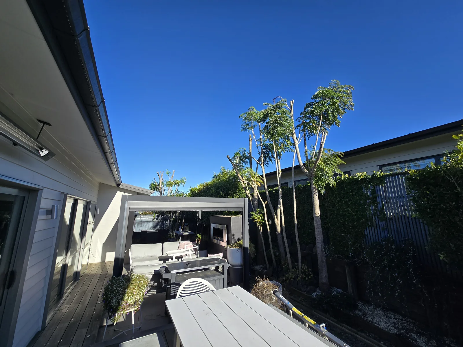 Tree pruning completed, South Auckland