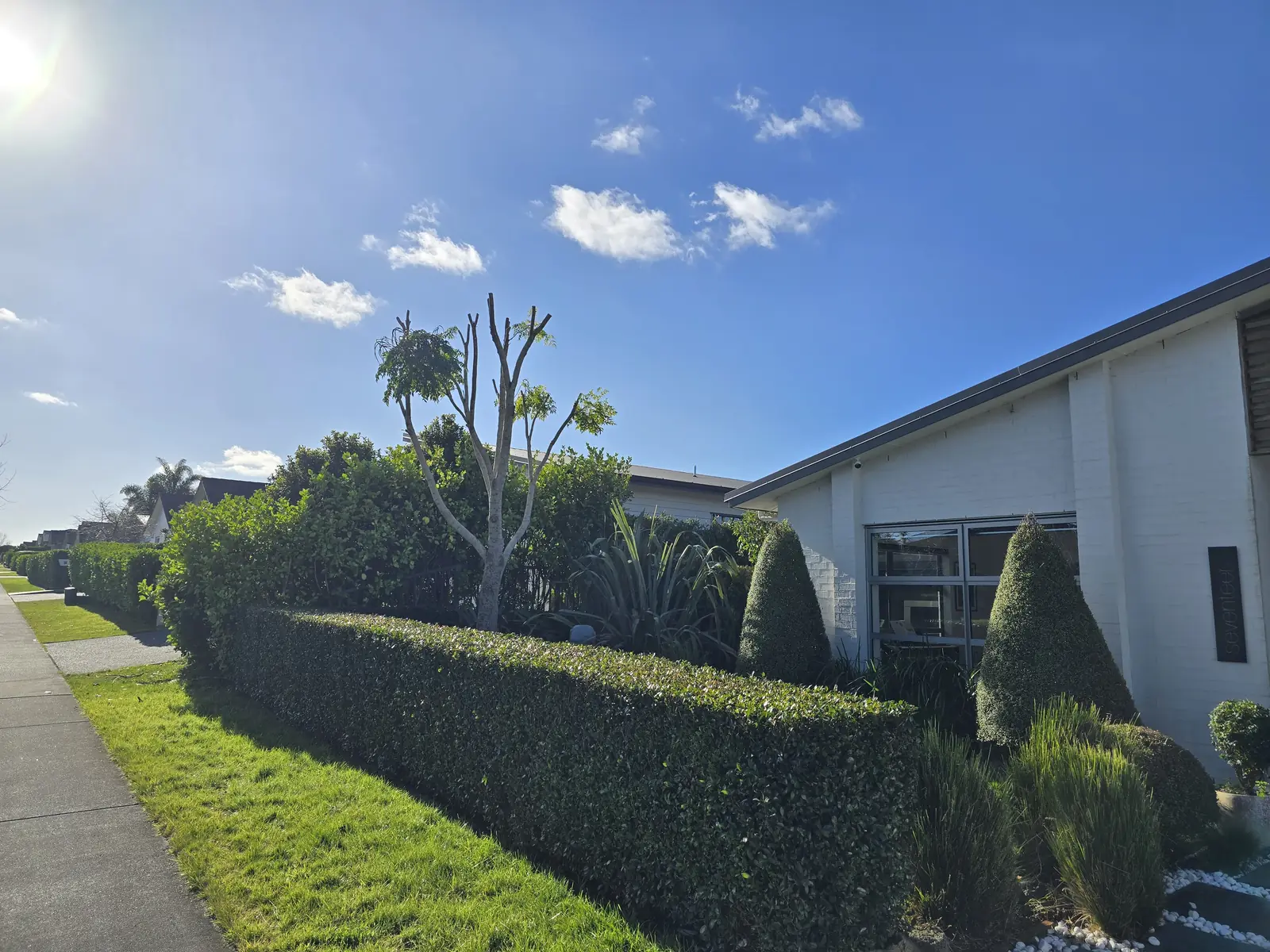 Tree pruning completed, South Auckland